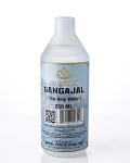 Swastik - Gangajal (The Holy Water)- Net Wt: 250 ml 